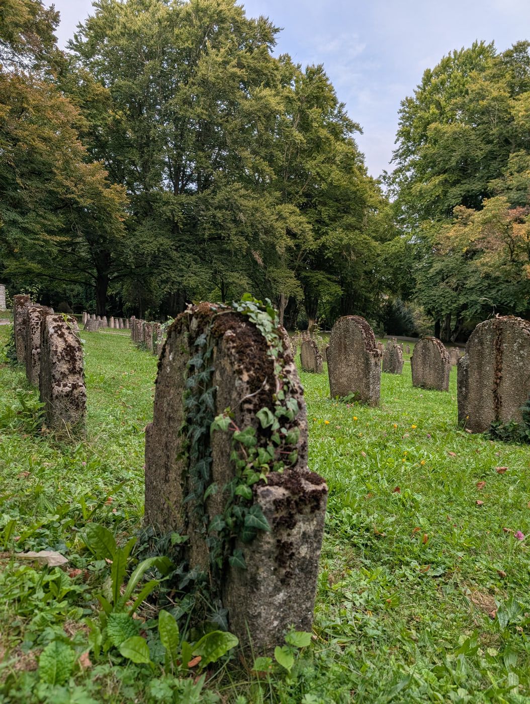 Bemoostes Gefallenendenkmal zwischen historischen Grabsteinen auf Hauptfriedhof Ulm · Neuer Friedhof
